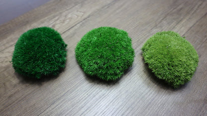Hello Moss Preserved Moss by weight - Moss Decor For You - Preserved Ball Moss For Your Home - Create Moss Art - Suitable for Moss Terrariums and Forests in Glass.