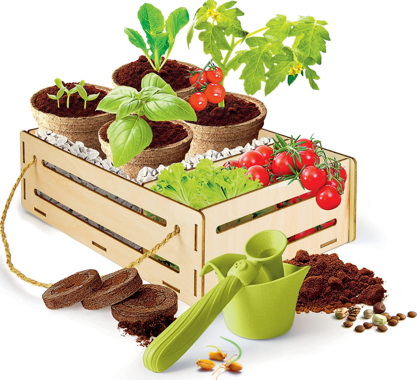 Clementoni Galileo Play for Future - My Garden Set, plant fan experiment kit, home science, botany & biology for kids 7+. 59207