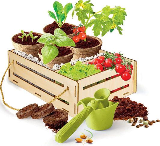Clementoni Galileo Play for Future - My Garden Set, plant fan experiment kit, home science, botany & biology for kids 7+. 59207