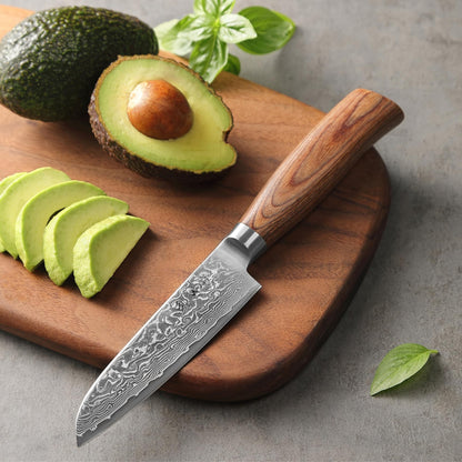 Wakoli EDIB Pro Damascus Santoku Knife | 11 cm blade made of 67 layers of Damascus steel with VG10 core | Pakkawood handle | Santoku knife for vegetables, fruits & meats | Kitchen knife in gift box