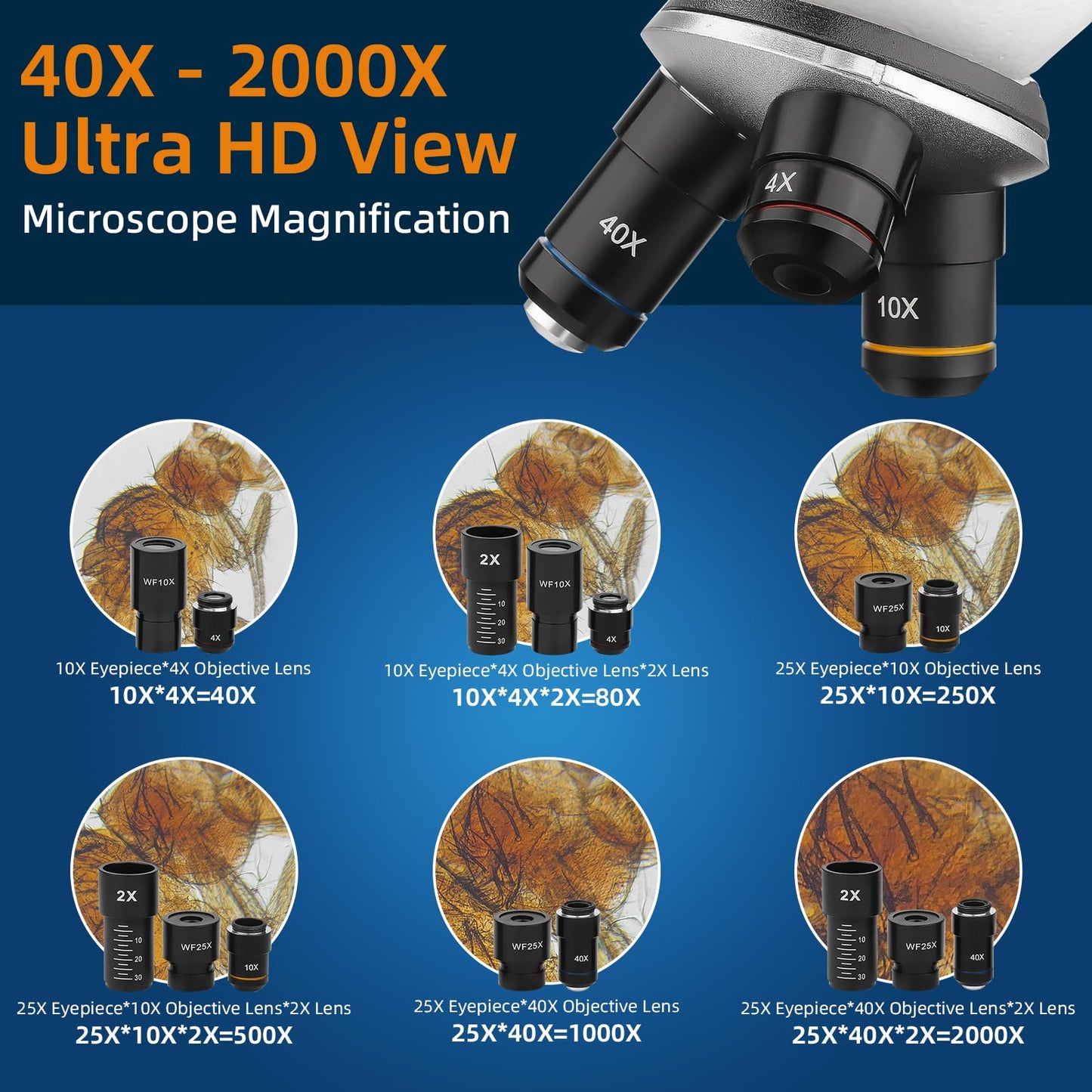 BEBANG Microscope for Kids Students Adults 40-2000x Magnification Professional Biological Microscopes, LED Illumination Educational Microscope with Kits, 15 Slides for Laboratory Class Study.