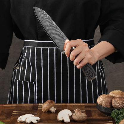 Wakoli Edis Damascus Knife Set 3-piece I Santoku Knife large and small plus Vegetable Knife Utility Knife made of 67 layers of Damascus steel with VG10 core 60±2 HRC I Pakka wood handle I Kitchen knife set in wooden box