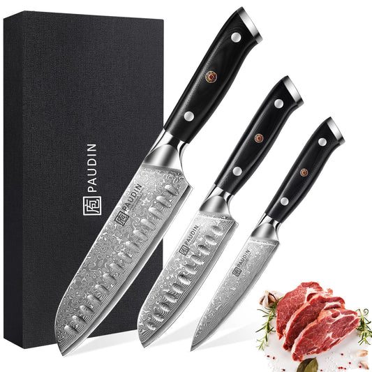 PAUDIN Damascus knife set, 3-piece knife set with ultra sharp Santoku knife kitchen knife made of 67 layers of Damascus steel with a Japanese VG10 steel core, ergonomic G10 handle.
