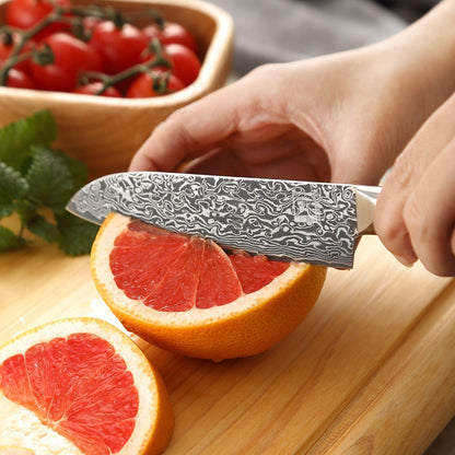 zayiko Black Edition Damascus knife small Santoku knife I 13 cm blade made of 67 layers of VG10 Damascus steel I Ergonomic Pakkawood handle I Premium kitchen knife for vegetables, meat & fruit I Gift box