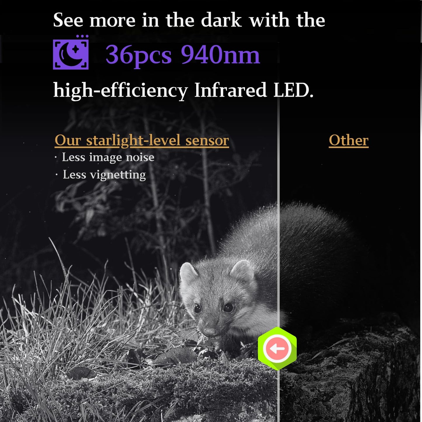 BlazeVideo 48MP wildlife camera with night vision, 1296P H.264 MPV video, motion detector, night vision, time-lapse, IP66 waterproof and 2.4" screen.