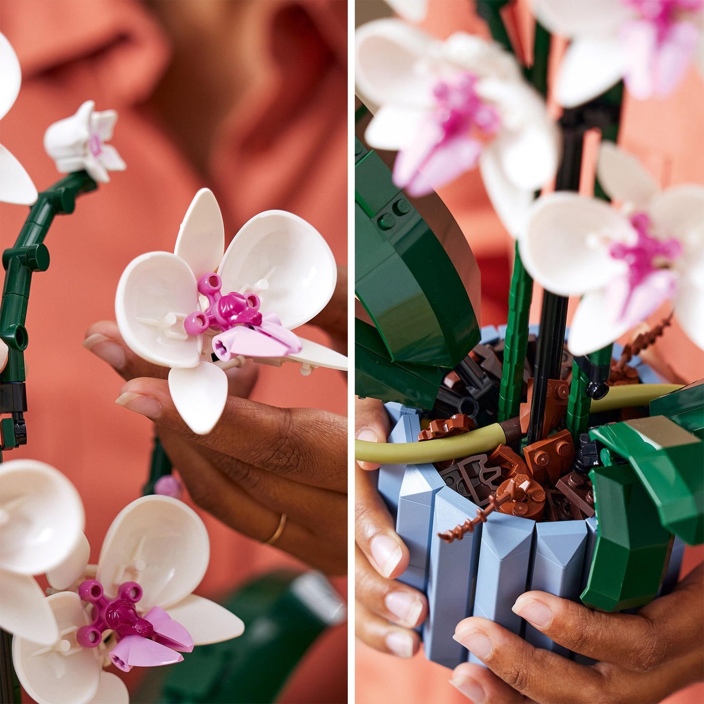 LEGO Botanicals Orchid - Artificial plant set with white and pink flowers - Model building kit for adults - Home and room decor - Botanical collection - Gifts for women and men 10311