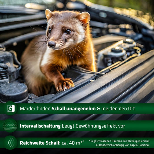 GARDIGO® Marten Repellent Mobile Marten-Free Ultrasound Marten Repellent Battery Operated Marten Protection for Vehicles, Engine Compartment, Attic, House, Garden Interval Switching