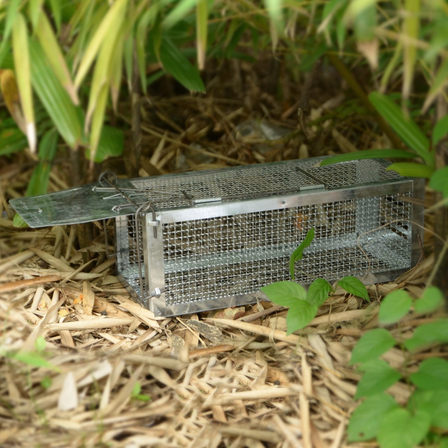 RatzFatz® Live Trap Mouse Trap, Premium Rat Trap, Large ●Including Ebook● XXL, Dormouse Professional Trap - XL Animal Trap Set, Reusable Multi-Catch Trap, Live, Hunting, Rustproof, Cage MTBSL40