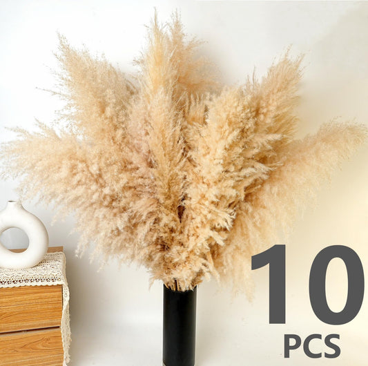 Dried Pampas Grass Decoration XXL, 10 pieces large pampas grass, reed grass bouquet for wedding boho flowers and home table decoration, rustic farmhouse party (100cm)