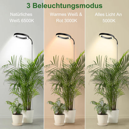 Wolezek LED Full Spectrum Plant Lamp, 80 LEDs 6500K Grow Light, 160cm Large Grow Lamp, 3 Colors Plant Light with 360° Swivel Neck, 6/12/16H Timer, 5 Brightness (Black 2 Pack)