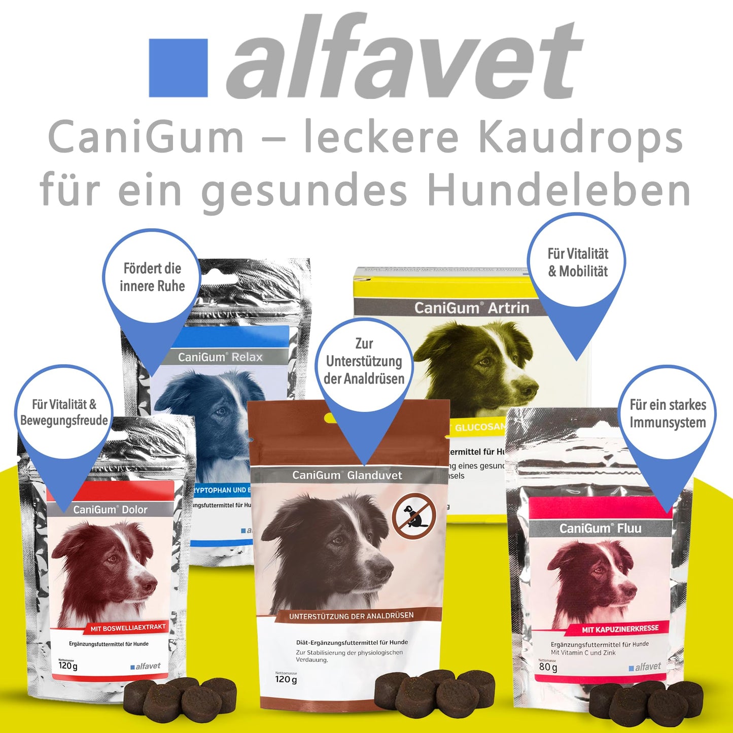 alfavet CaniGum Artrin, double pack, supplementary food for dogs supports joints, joint metabolism, for osteoarthritis, chew sticks 2 x 168g, portionable.