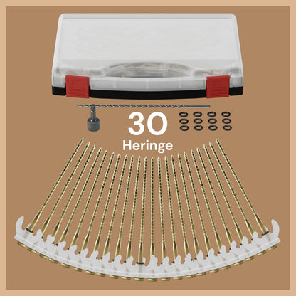 ABCamping Screw Pegs Set - [30 pieces] Steel pegs for soft to hard ground including drills (5mm & 6mm) - Tent screws with light effect, including carrying case, 15x O-rings & bit for power drill.