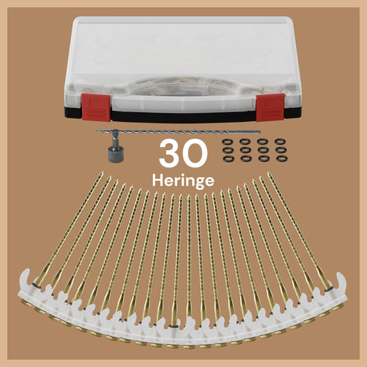 ABCamping Screw Pegs Set - [30 pieces] Steel pegs for soft to hard ground including drills (5mm & 6mm) - Tent screws with light effect, including carrying case, 15x O-rings & bit for power drill.