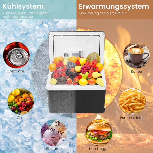 WOLTU Cooler Box Car 50L Electric 12v 230v, for Cooling and Heating, Camping Cooler Box for Car and Socket, Thermo Box Refrigerator Large for Beach, Picnic, Summer Saver, Black