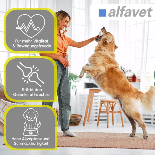 alfavet CaniGum Artrin, double pack, supplementary food for dogs supports joints, joint metabolism, for osteoarthritis, chew sticks 2 x 168g, portionable.