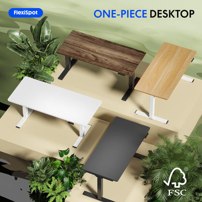 FLEXISPOT Tabletop 120x60 cm, 25 mm thick – Single-piece desktop, DIY office desk surface – Ideal for height-adjustable desks (Black)