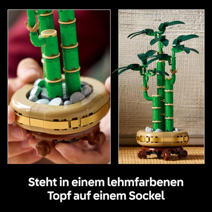 LEGO Botanicals Lucky Bamboo, artificial plant - building set for adults - gift for housewarming parties or graduations for women and men - home decor 10344