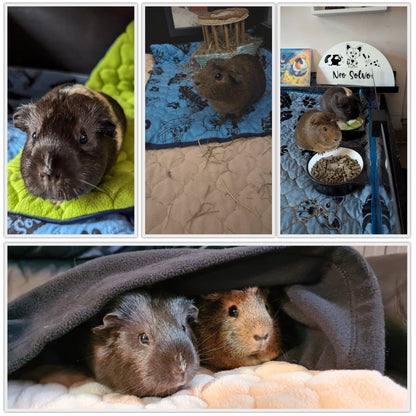 NEO SOLVO cage liner for rabbits and guinea pigs with removable fleece tunnel cover - perfect bedding for indoor cages and C&C - absorbent, waterproof - 140 x 70 cm - Peach