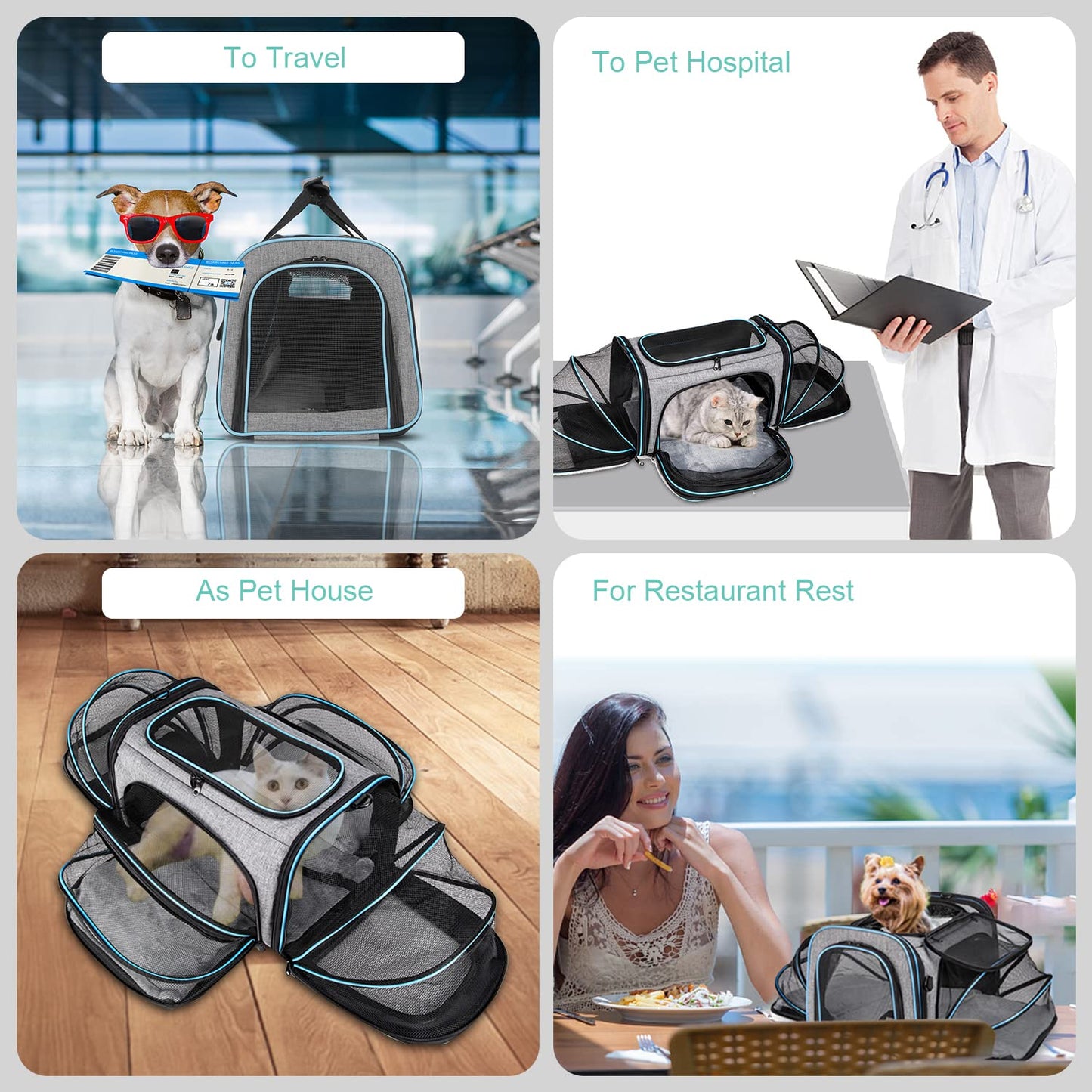 BERTASCHE Transport bag for cats Small dogs Foldable Cat carrier Transport box for plane Car Travel