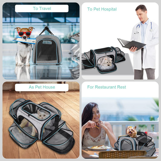 BERTASCHE Transport bag for cats Small dogs Foldable Cat carrier Transport box for plane Car Travel