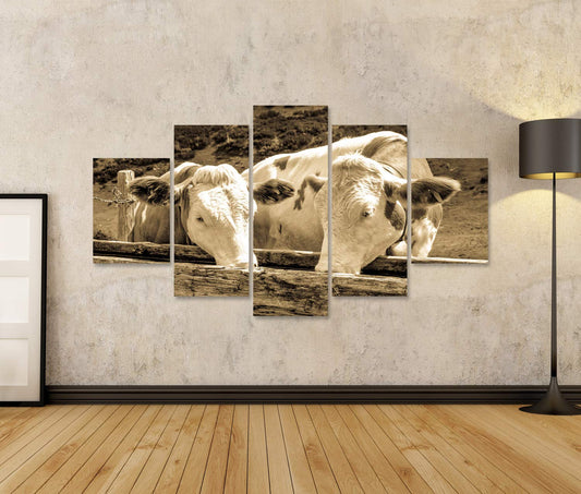 islandburner Image Pictures on canvas Cows in the European Alps - Photo Wall Art, Poster, Canvas Print OFJ