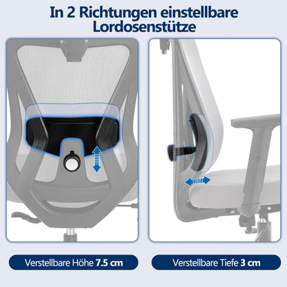 Yaheetech Office Chair Ergonomic, Desk Chair with Adjustable Headrest, Armrests, Lumbar Support, Lockable Height-adjustable Swivel Chair with 90°-130° Reclining Function Light Gray