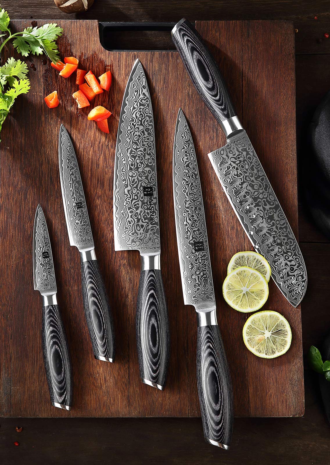 XINZUO 5 Piece Kitchen Knife Set 67 Layers Damascus Steel Chef Knife Set, Professional Forged Damascus Knife Set Sharp Blade Cooking Knife Set - Chef Santoku Slicing Utility Fruit Knife - PakkaWood Handle