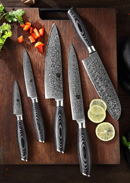 XINZUO 5 Piece Kitchen Knife Set 67 Layers Damascus Steel Chef Knife Set, Professional Forged Damascus Knife Set Sharp Blade Cooking Knife Set - Chef Santoku Slicing Utility Fruit Knife - PakkaWood Handle