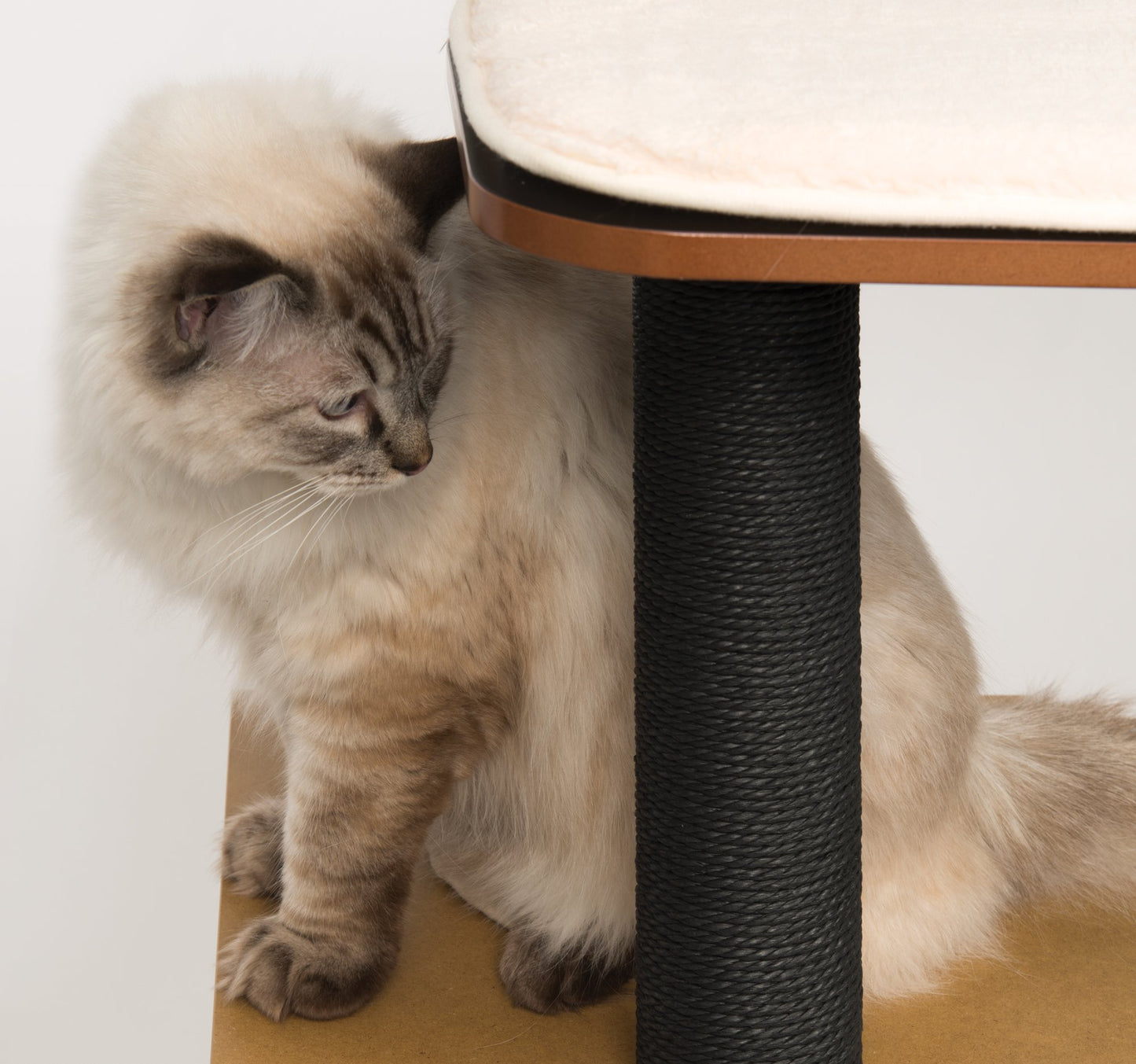 Catit, 52046, Vesper AA8 Cat Furniture High Base, black, cube cave with two platforms, 1 piece (1 pack)