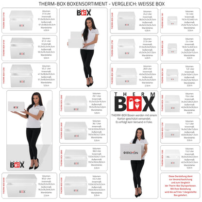 THERM-BOX Styrofoam Box 83W Inside: 70x29x39cm Wall: 2.5cm Volume: 83L Insulated Cooler Reusable Warm/Cold Box