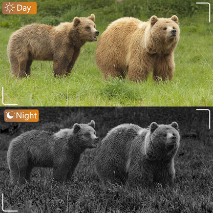 BlazeVideo wildlife camera with app, night vision photo trap 64MP 1296P Connect through app Bluetooth antenna with night vision motion detector