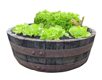 Temesso whisky barrel section can be used as a planter for kitchen herbs, herb garden, bird bath, or tub. Height approximately 18cm (natural).