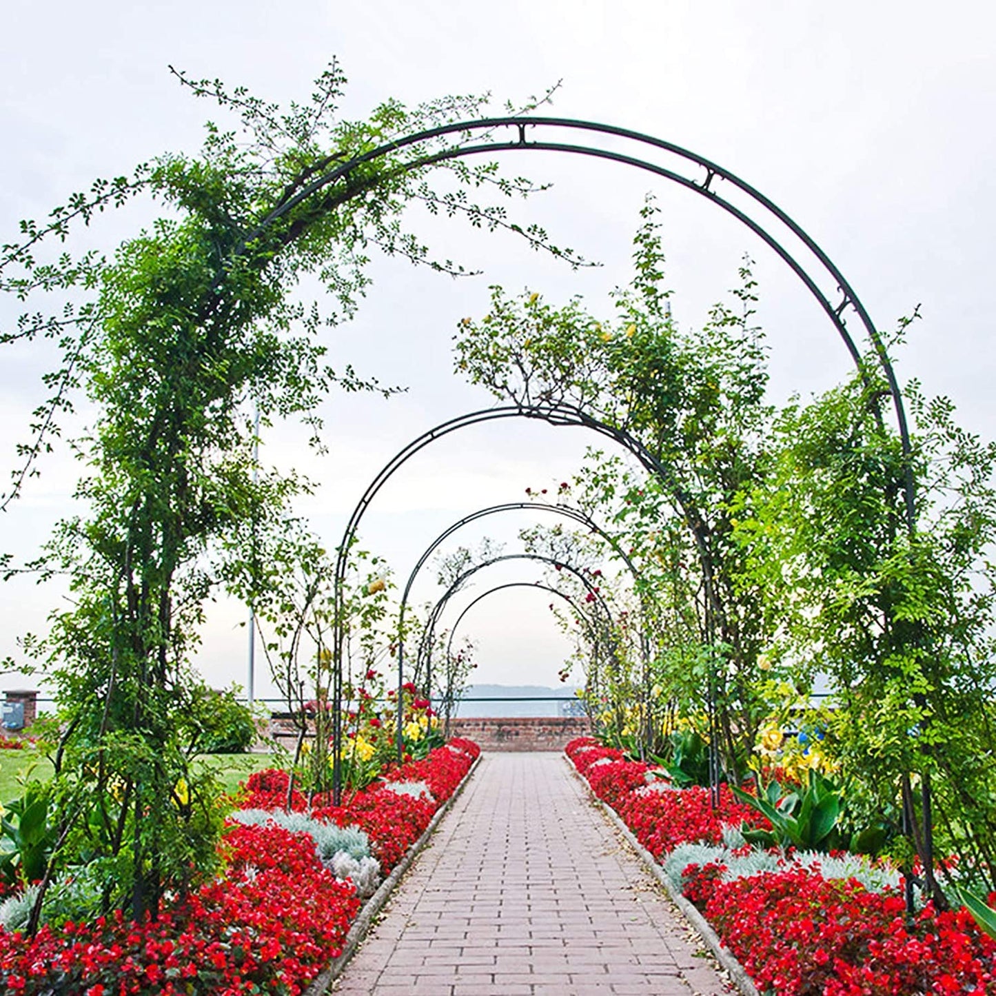 Forever Speed rose arch trellis garden rose support made of powder-coated steel, garden decoration and embellishment climber weatherproof black (2 pieces)