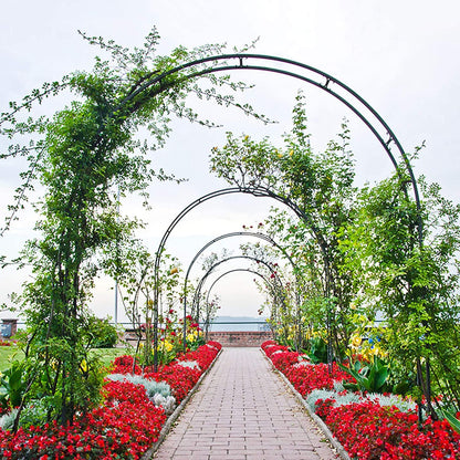 Forever Speed rose arch trellis garden rose support made of powder-coated steel, garden decoration and embellishment climber weatherproof black (2 pieces)