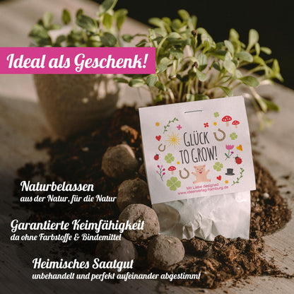 10x "Good luck to grow" seed bombs/lucky charms/small gifts for colleagues, guests & friends - Seed bomb party favor - Children's thank you gifts - Party favors