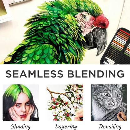 Set of colored charcoal pencils, professional sketching tool with blending stump, kneadable artist eraser, sharpener. For artists, beginners, adults, teenagers. BW-CPS-N01.