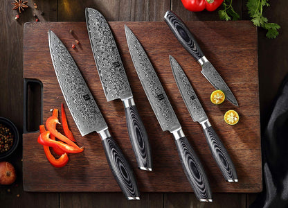 XINZUO 5 Piece Kitchen Knife Set 67 Layers Damascus Steel Chef Knife Set, Professional Forged Damascus Knife Set Sharp Blade Cooking Knife Set - Chef Santoku Slicing Utility Fruit Knife - PakkaWood Handle