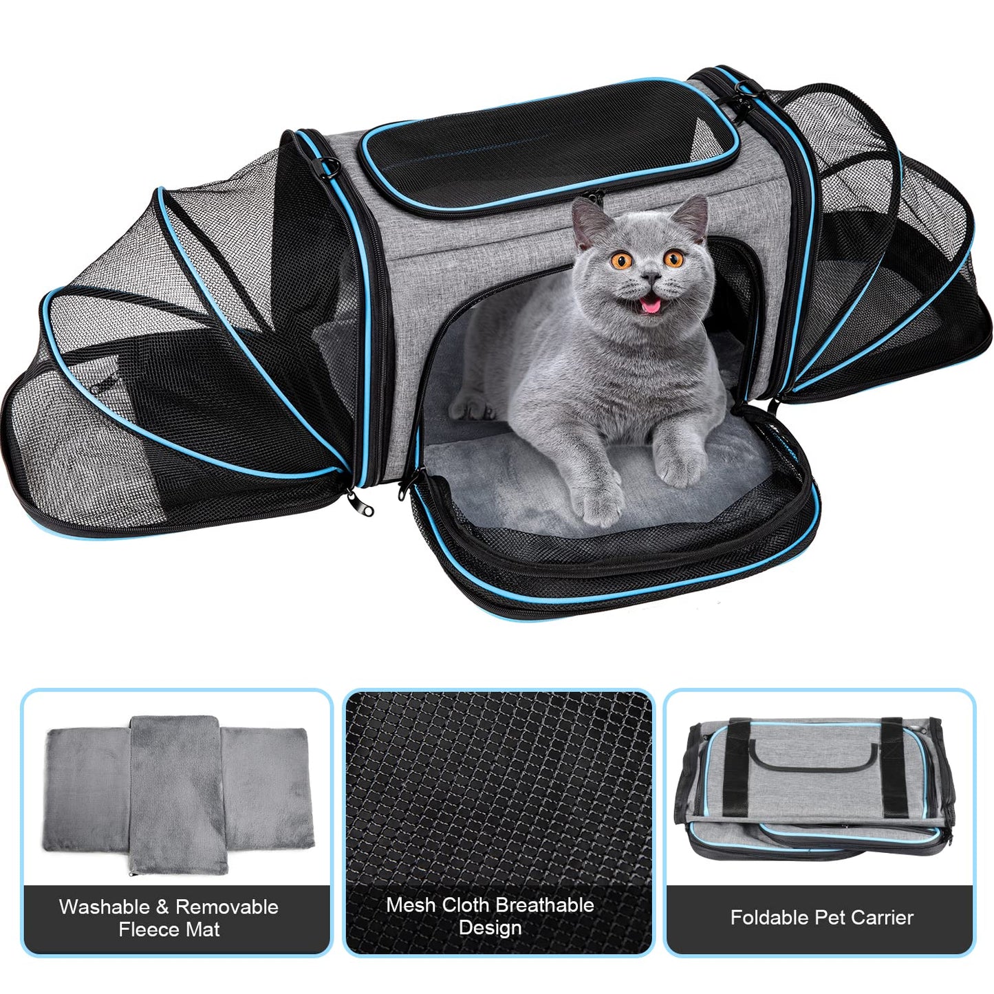 BERTASCHE Transport bag for cats Small dogs Foldable Cat carrier Transport box for plane Car Travel