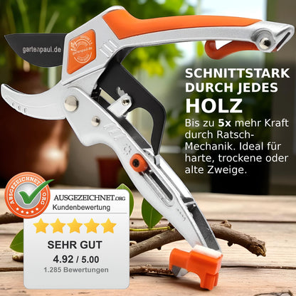 GARDENPAUL Ratchet 2.0 with Sharpener, Anvil Hybrid Ratchet & Garden Scissors SK5 Blade, Professional Garden Tool as Tree Pruner Branch Cutter Garden Ratchet Scissors Rose Scissors Herb Scissors Harvest Scissors