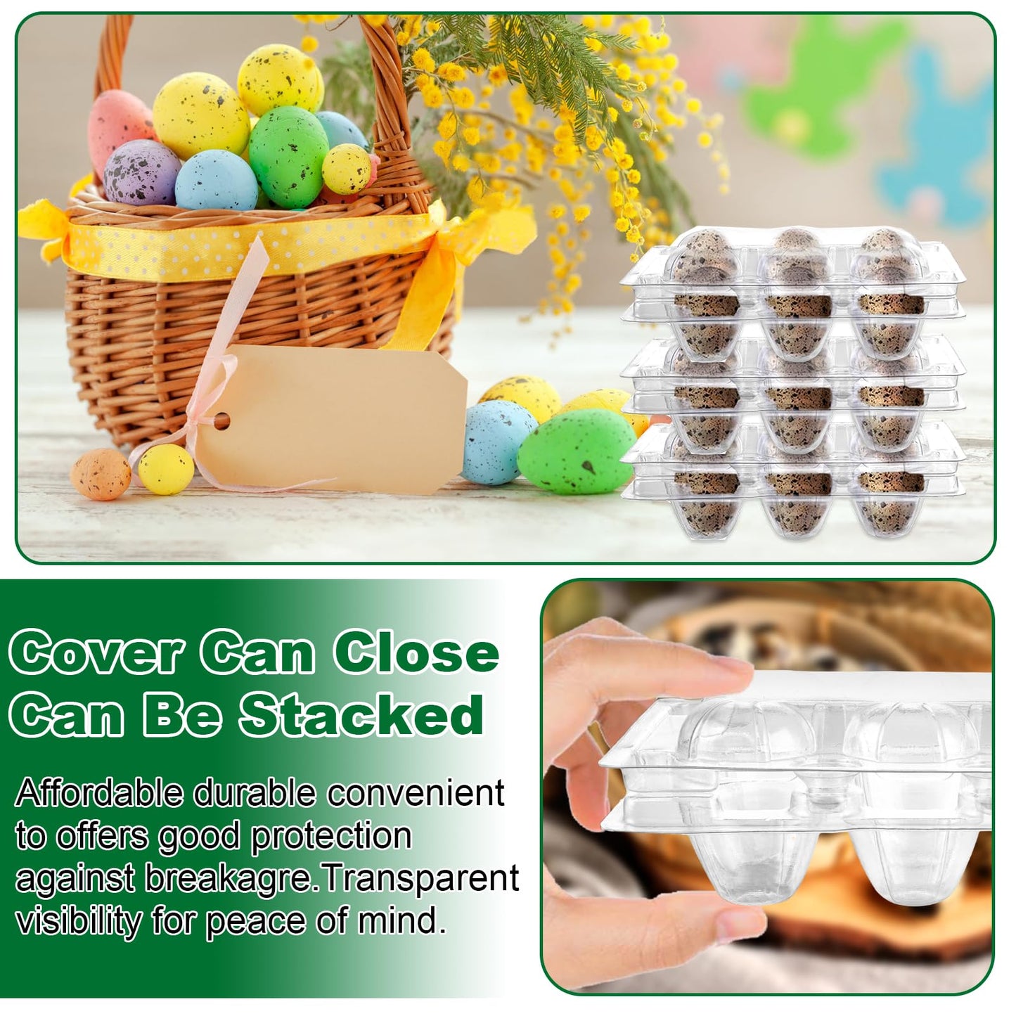 APACALI 100pcs Quail Egg Cartons, Quail Egg Cartons 6 Grids, Plastic Quail Egg Cartons with Lid, Transparent Quail Egg Cartons
