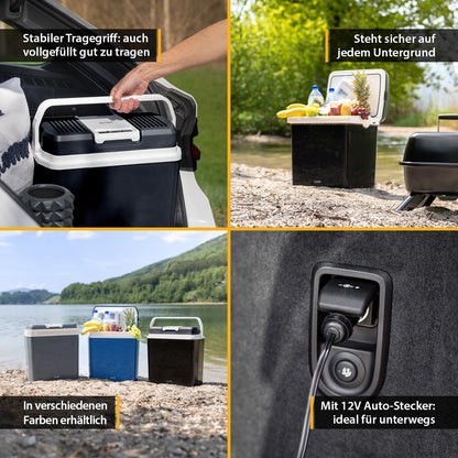 TZS First Austria - Cool Box 24L electric 12V 230V connection for car & socket - Thermoelectric Cool Box cools & warms - Mini fridge with handle - For camping, festivals, travel - Black