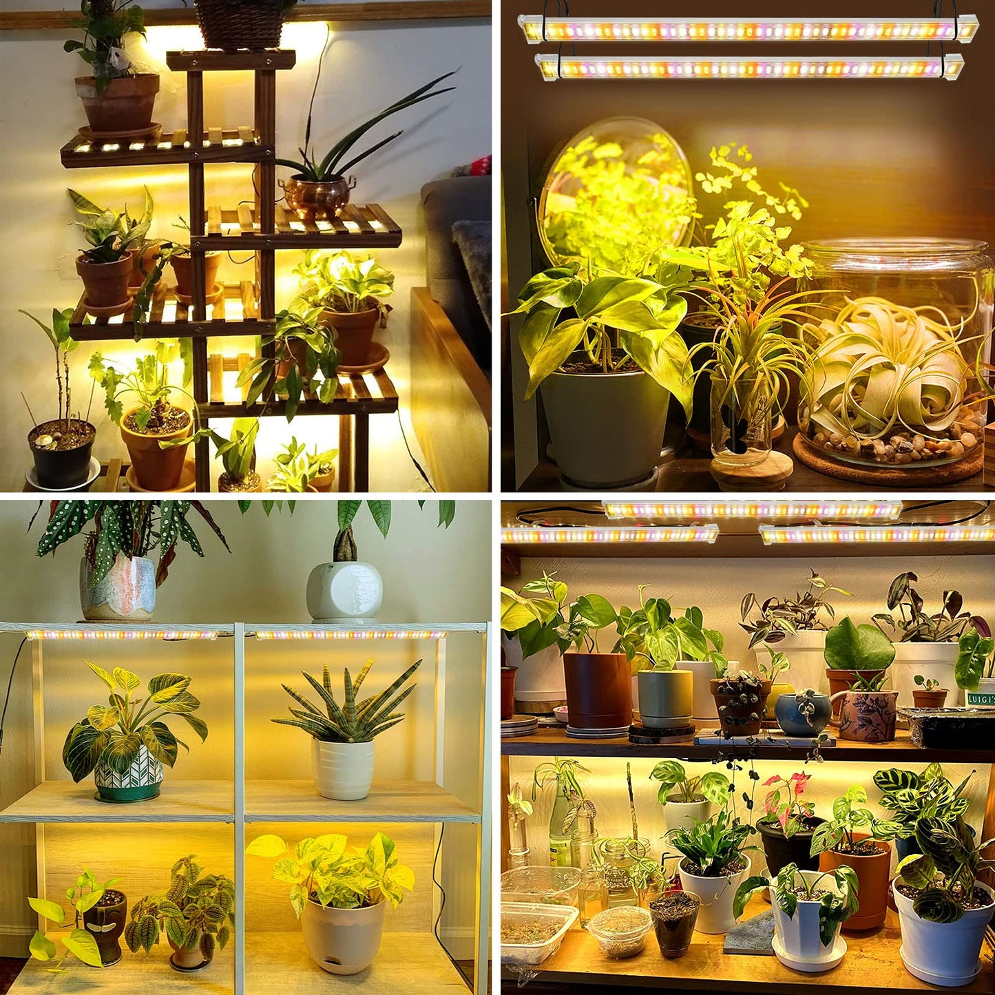 SINJIA light [8 pack] LED plant growth light strips full spectrum for indoor plants with auto ON/Off timer, 384 LEDs/10 dimmable levels, grow lamp for hydroponic succulent, plug and play.