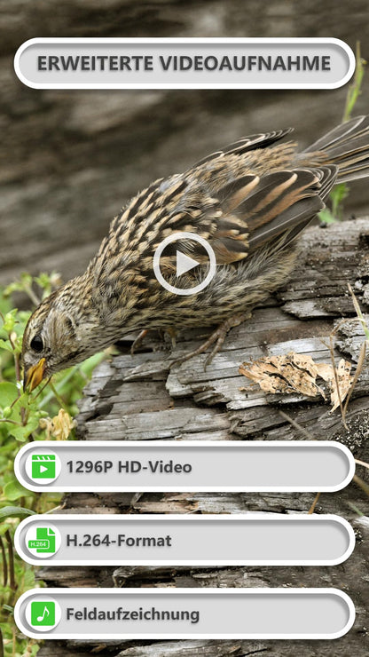GardePro E8P wildlife camera with WiFi, rechargeable 8000mAh battery, 64MP 1296P resolution, motion sensor night vision, mobile transmission, WiFi, app.