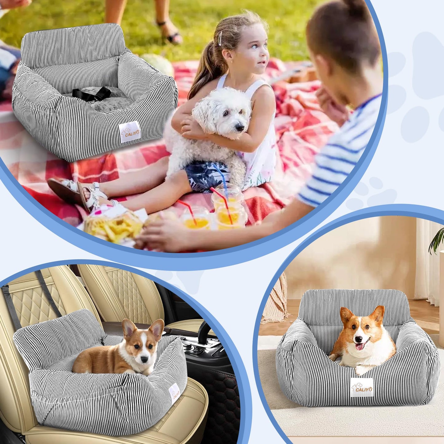CALIYO dog car seat with sturdy base & safety belt | dog car seat for small up to 10 kg | memory foam seat cushion | waterproof, washable dog basket with storage bag (black/white)