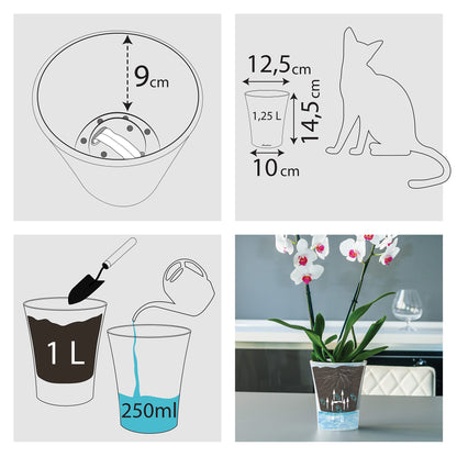 Santino 6-pack Orchid Pot Transparent with self-watering wick system - D 15 cm - Transparent - 2 L