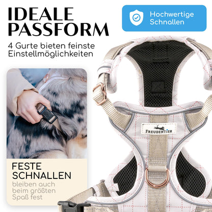 Joyful Pet Dog Harness with Handle, Breathable Padded - Secure Fit & Maximum Safety - Anti-Pull Chest Harness Small, Medium & Large Dogs - Small Dog Harness (S)