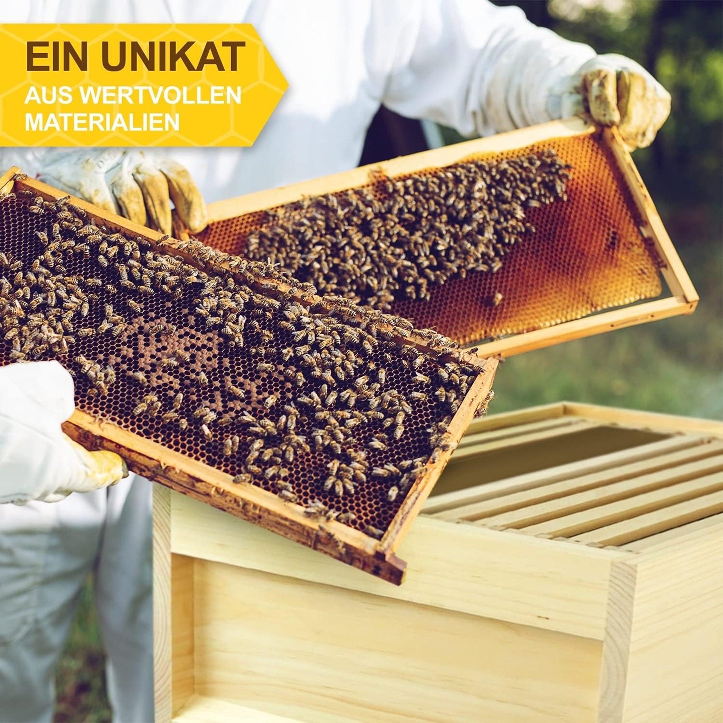 APIFORMES German Standard Size (DN10) - Weymouth Pine 10-Frame Hive