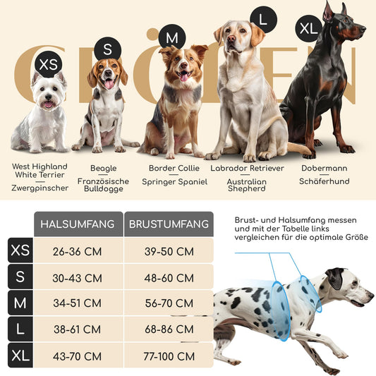 Joyful Pet Dog Harness with Handle, Breathable Padded - Secure Fit & Maximum Safety - Anti-Pull Chest Harness Small, Medium & Large Dogs - Small Dog Harness (S)