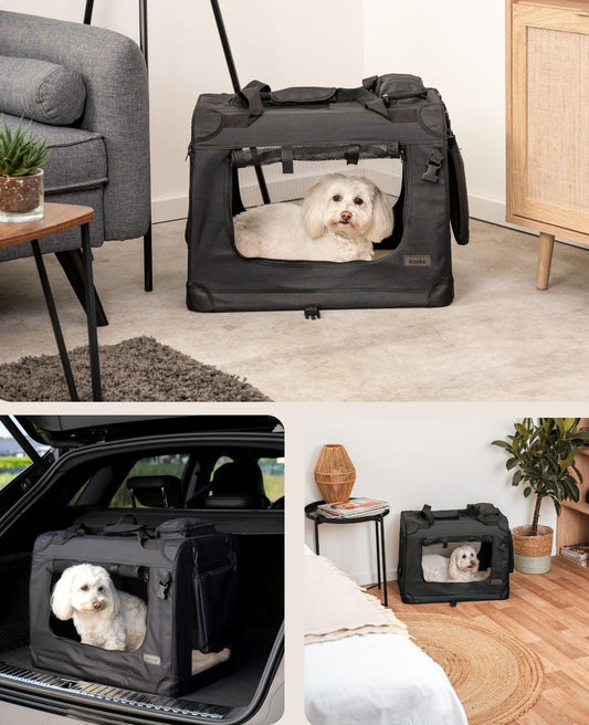 lionto Dog Transport Box foldable for travel & car, 60x42x44 cm, stable transport box with handles & blanket for cats & dogs up to 12 kg, sturdy fabric dog crate for small & large breeds, black