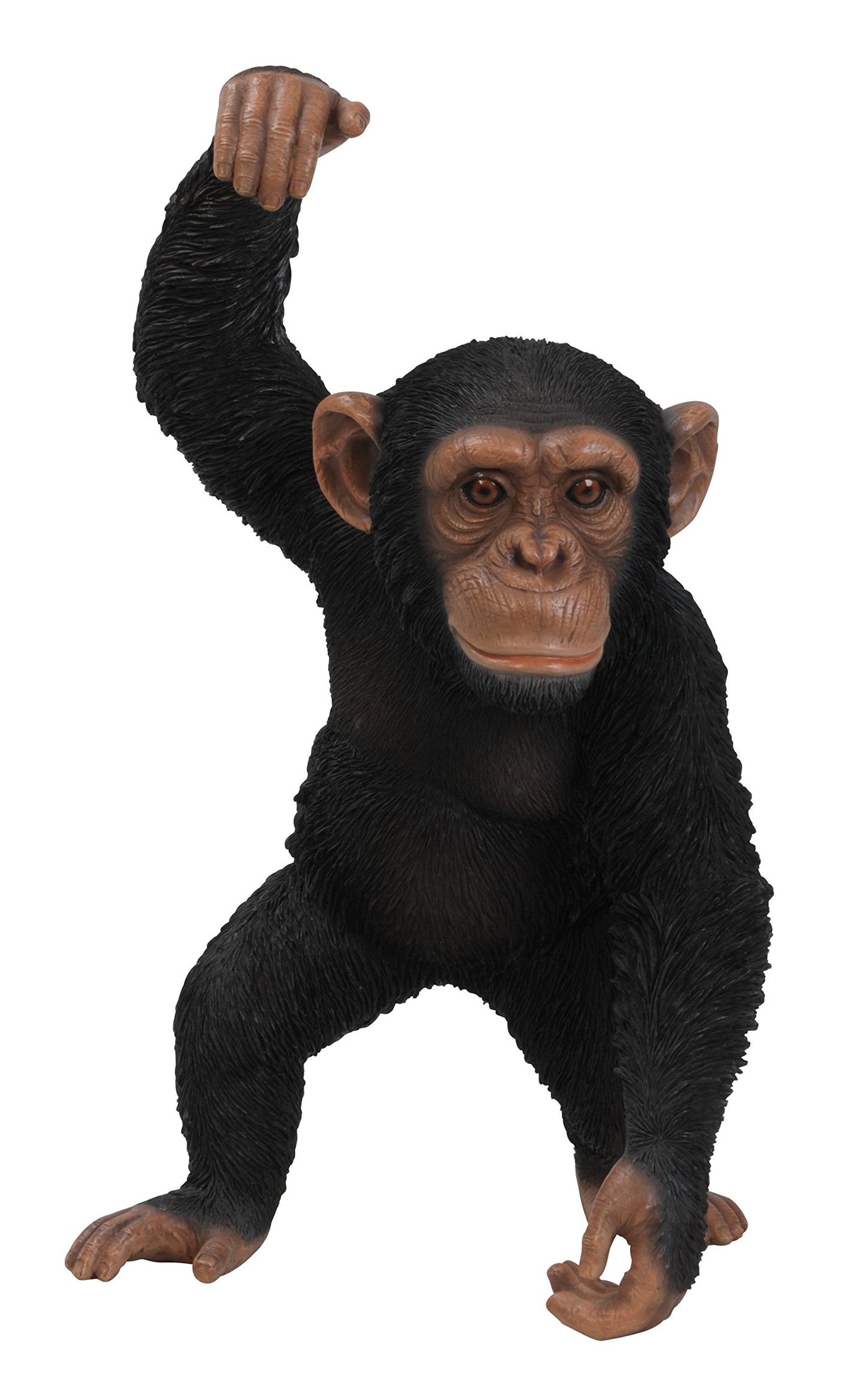 Vivid Arts XRL-CHM5-B Chimpanzee, hanging, resin garden decoration